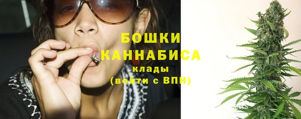 амф Липки