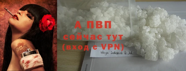 амф Липки