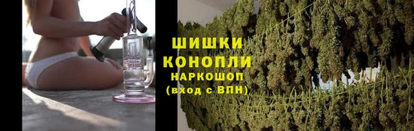 амф Липки