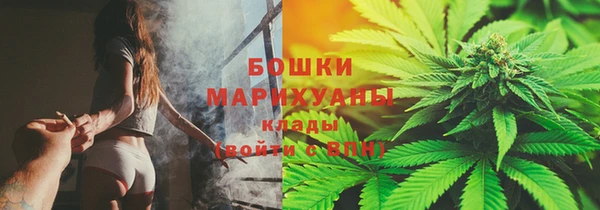 амф Липки